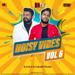 Noisy Vibes Vol.6 - Dj AK X Dj Akash Tejas